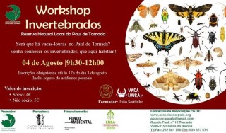 Workshop Invertebrados no Paul de Tornada